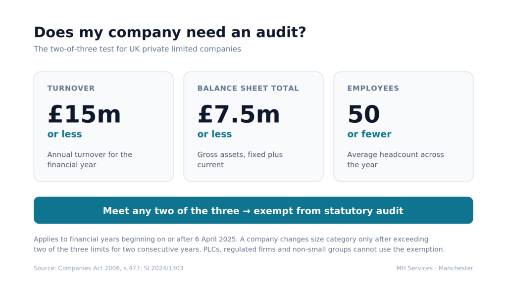 Does my company need an audit?